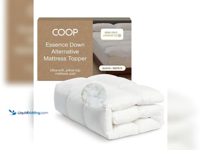 Lot 49-3432166 - Coop Home Goods Essence Down Alternative Mattress Topper Queen, Plush 2-Inch Gusset and Baffle Box D...