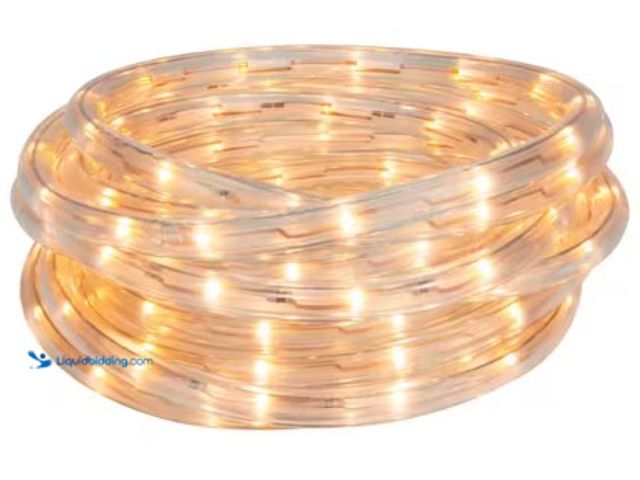 Lot 49-3631324 - EcoSmart 32.8-Ft. Indoor/Outdoor Bright White Plug-In Integrated LED Rope Light, Model: AL-NR-WW-32F...
