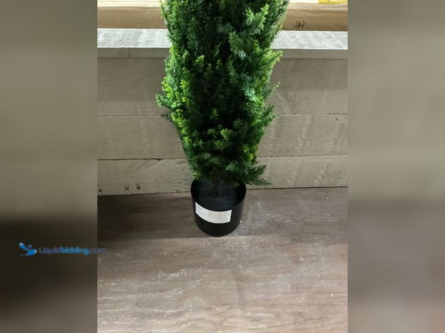 Lot 49-3527437 - 2ft artificial plant Unused