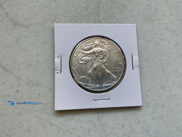 Lot 49-1804331 - 2013 SILVER EAGLE DOLLAR COIN.