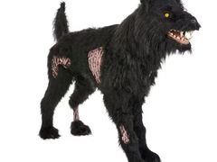 Lot 49-3519177 - undefined