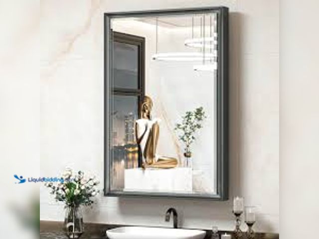 Lot 49-5459569 - 24 in. W x 36 in. H Rectangular Black Metal Framed Beveled Surface Mount/Recessed Medicine Cabinet w...