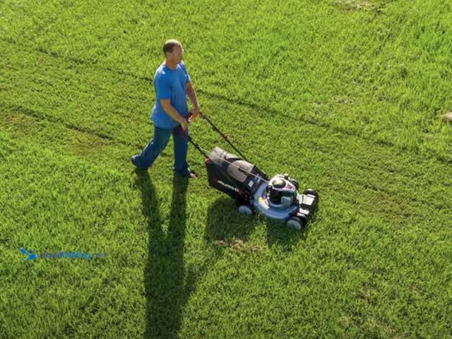 Lot 49-2020875 - Murray 22 in. 140 cc Briggs & Stratton Walk Behind Gas Self-Propelled Lawn Mower with Front Wheel Dr...