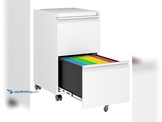 Lot 49-1558907 - SISESOL Assembled 2 Drawer File Cabinet on Wheels, Metal Filing Cabinet with Lock, White Rolling Fil...