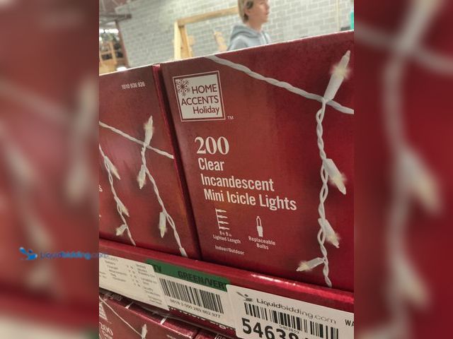 Lot 49-5463822 - Home Accents Holiday
200 Clear Incandescent Mini Icicle Lights (12packs) New