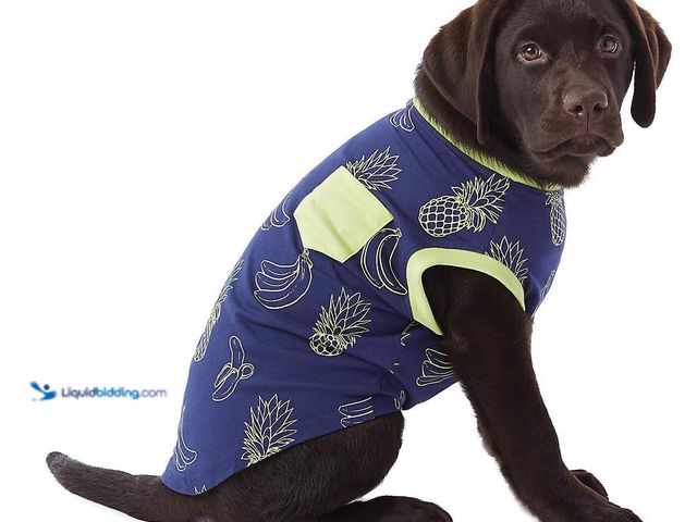 Lot 49-1519080 - (24) Top Paw Banana & Pineapple Pocket Dog Tee, Medium, Model# B08SHN5F65, New.  Ref#MTMED0624