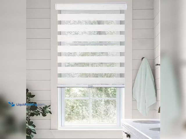 Lot 49-1515987 - Chicology Basic Natural Cordless Cut-to-Width Light Filtering Dual Layer Zebra Roller Shade 58 in. W...