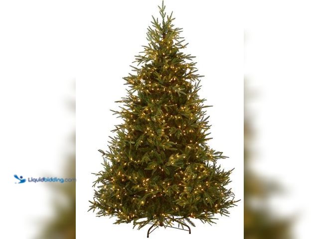 Lot 49-3532032 - 7.5 ft. Pre-Lit Fraser Grande Tree with Clear Lights, Plug-In Item is used.