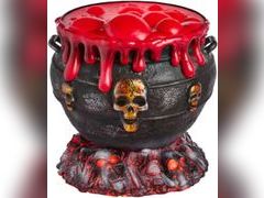 Lot 49-3519179 - undefined