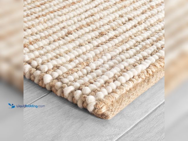 Lot 49-5459437 - FRELISH DECOR Wool and Jute Premium Handwoven Chunky Stripes Rug - Contemporary Area Rug for Living ...