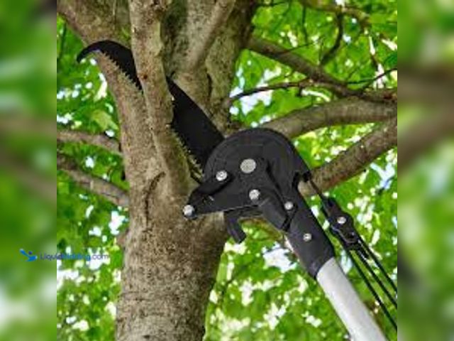 Lot 49-5448836 - Husky 15 in. Steel Blade with 16-ft Telescopic Tree Pruner. Model # Husky-18. Unused, no blade