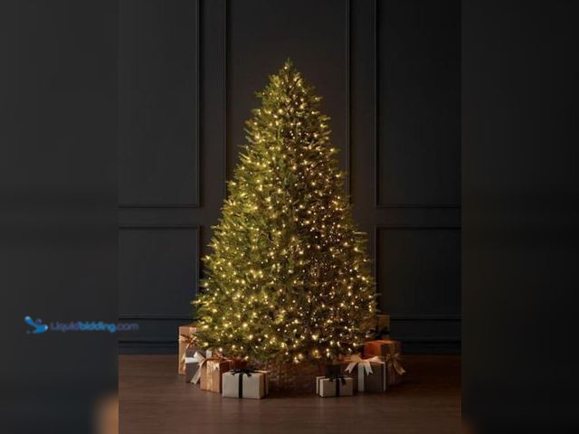 Lot 49-2005547 - Home Decorators Collection 7.5 ft. East castle Twinkling Balsam Fir LED Pre-Lit Artificial Christmas...