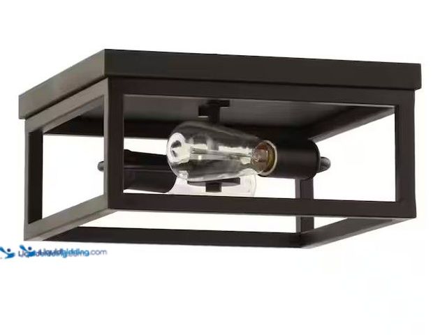 Lot 49-5581518 - Hampton Bay Boswell Quarter 12-1/2 in. 2-Light Black Industrial Open Cage Flush Mount Ceiling Light,...