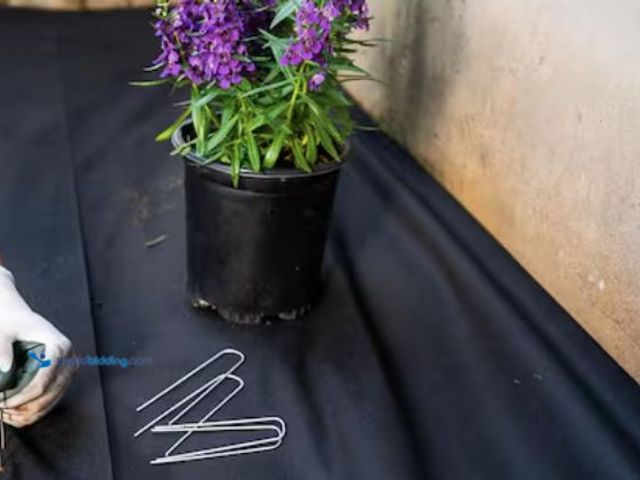 Lot 49-2026166 - Vigoro 4 ft. x 100 ft. Medium Duty Weed Barrier Landscape Fabric, Model # NMV04100B, Unused.  Ref#PA...