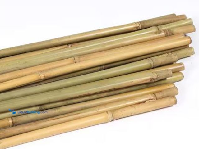 Lot 49-1625522 - Ecostake 8 ft. x 1 in. Natural Bamboo Garden Plant Stakes for Climbing Support for Tomatoes, Trees, ...