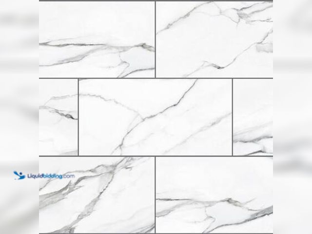 Lot 49-5539767 - Approx 225 Sq Ft - Lifeproof Mountain Brook Marble 22 MIL x 11.9 in. W x 23.8 in. L Click Lock Water...