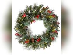 Lot 49-1544868 - undefined