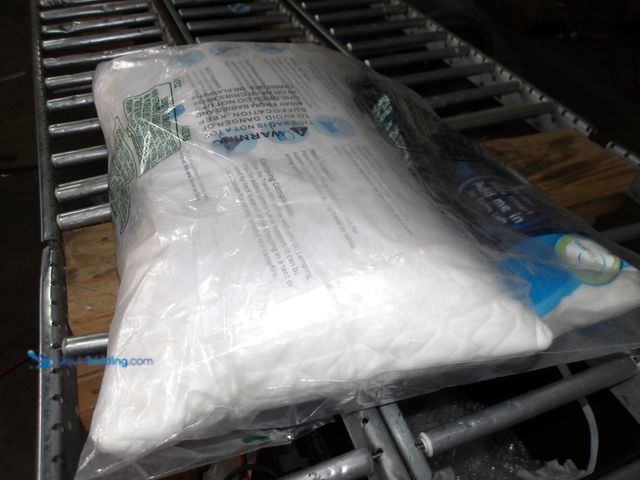 Lot 49-1513911 - Sidney Sleep, Pillow, White, Unused  Ref#4G-0723