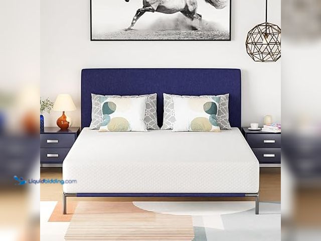 Lot 49-5483324 - PayLessHere 10 Inch Queen Gel Memory Foam Mattress Fiberglass Free/CertiPUR-US Certified/Bed-in-a-Bo...