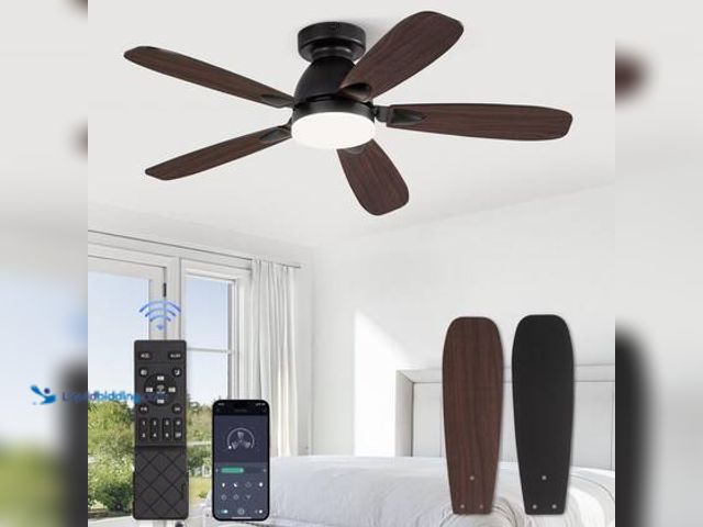 Lot 49-5572384 - HINNIXY 42 in. Indoor Black Dimmable Flush Mount Standard Ceiling Fan with Integrated LED Light and ...