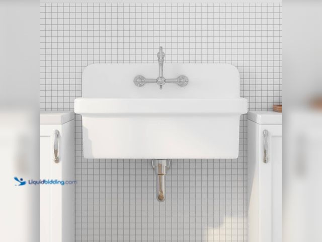 Lot 49-5487338 - Eridanus
Mason 15 Gal. 30 in. W x 19 in. D Wall Mount Laundry/Utility Sink in Crisp White with Bask...