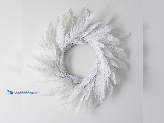 Lot 49-1546934 - Sullivans 28-in Flocked Indoor/Outdoor (non powered) White Pine Artificial Christmas Wreath, Model #...