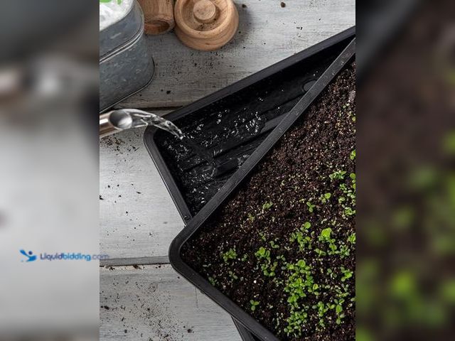 Lot 49-5415369 - Gardener's Supply Company Microgreens Reservoir Trays (Set of 5) | 100% Recycled Plastic BPA-Free Or...