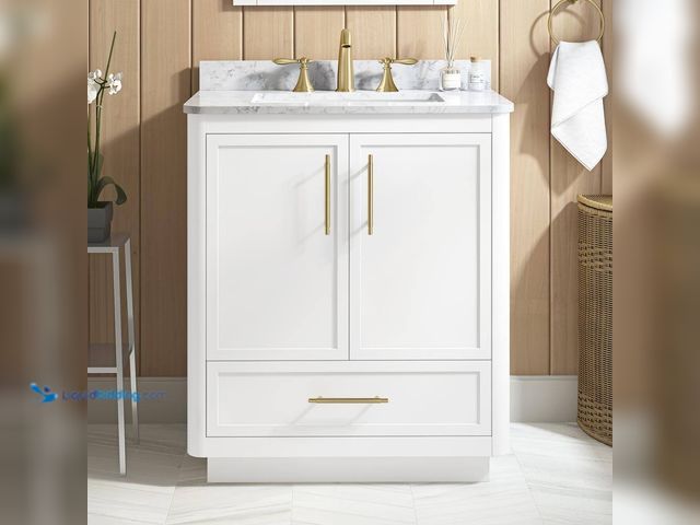 Lot 49-5447921 - Home Decorators Collection Tamsin 30 in. Single Sink White Bath Vanity with White Round Corner Engin...
