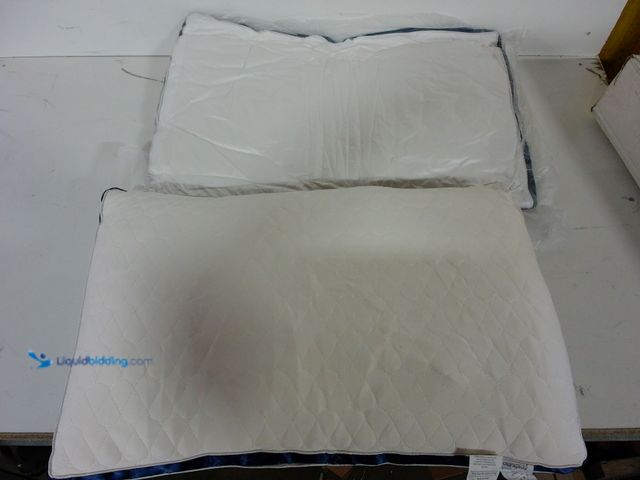 Lot 49-1556395 - Set of 2 White 20in x 26in Bed Pillows With Blue Trim, Unused  Ref#BULK1126