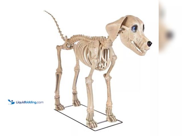 Lot 49-3519178 - Home Accents Holiday 7 ft. Long Grave & Bones Skelly's Dog with LifeEyes LCD Eyes (UNUSED) HARDWARE ...