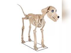 Lot 49-3519178 - undefined