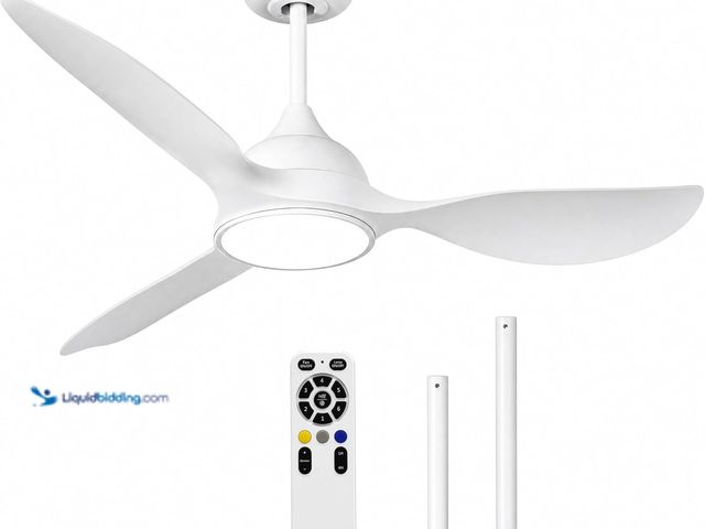 Lot 49-5546079 - reiga 52 inch Ceiling Fans with Remote Control and Led Lights, Modern Quiet Reversible DC Motor Fan,...