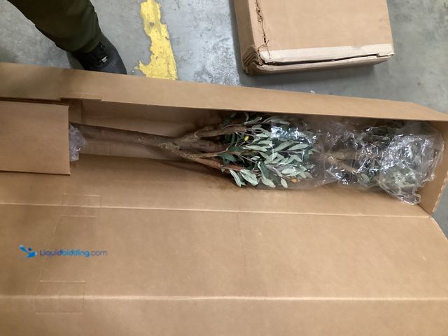 Lot 49-5551440 - Indoor Décor Tree with base, unused