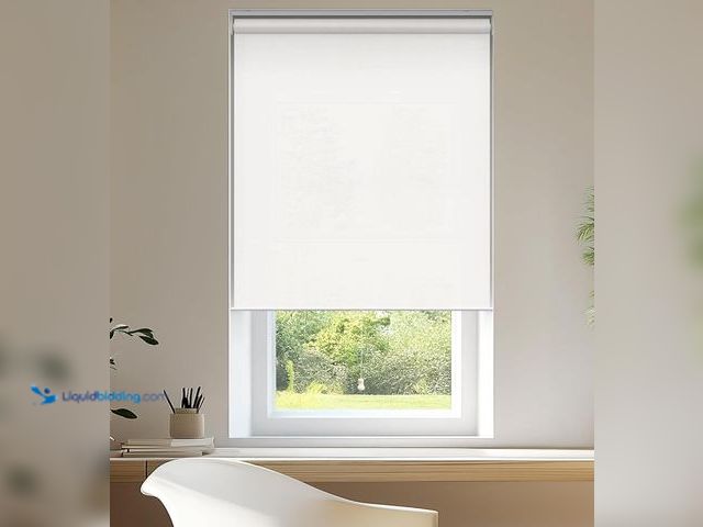 Lot 49-1555699 - CHICOLOGY Roller Window Shades , Window Blinds , Window Shades for Home , Roller Shades , Window Tre...