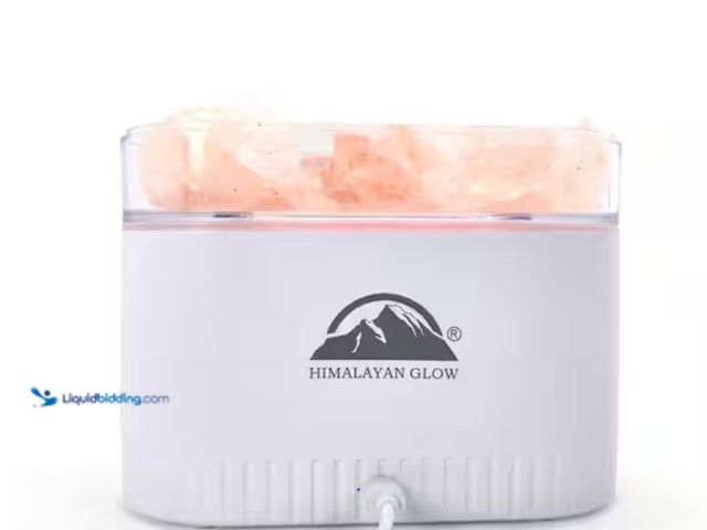 Lot 49-1623577 - WBM Salt Aroma Flame Humidifier Diffuser, 6.6 in. Orange Glow Table Lamp for Indoor Aroma Mood, Mode...