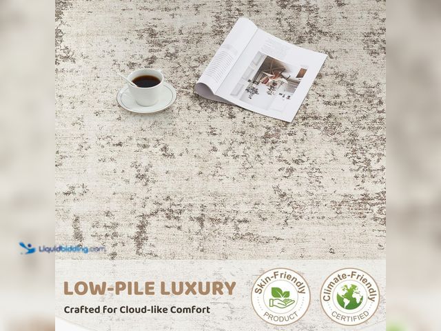 Lot 49-5459640 - Area Rug Living Room Rugs - Washable Neutral Modern Abstract Soft Thin Rug Indoor Floor No Slip Rug....