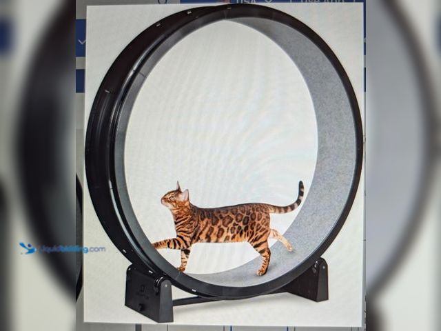 Lot 49-1814678 - 1 New One Fast Cat Cat Exercise Wheel Gen. 5 Advanced piece of exercise equipment to help your cat b...