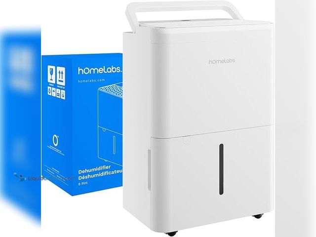 Lot 49-5433935 - hOmeLabs 8 Pint Wi-Fi Dehumidifier for up to 1,800 Sq Ft Rooms (MAX 24 Pint at 95°F, 90% RH) – Ultra...