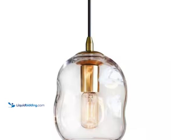 Lot 49-3613559 - EKIEUDL 40-Watt 1-Light Clear Modern Integrated LED Pendant Light with Clear Glass Organic Globe, Mo...
