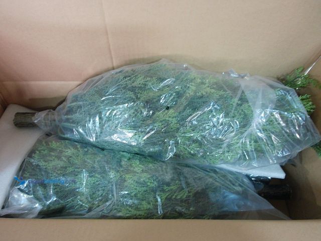 Lot 49-1622694 - Lot of (2) 2'Ft Artificial Plants, Unused  Ref#PA0708