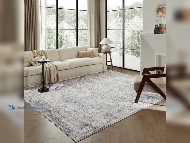 Lot 49-3482670 - Triohero 8x10 Area Rugs Large Boho Distressed Washable Area Rug Stain Resistant Non Slip Farmhouse C...