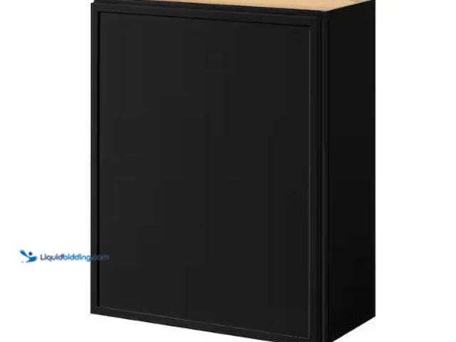 Lot 49-1630804 - Hampton Bay Leyton 24 in. W x 12 in. D x 30 in. H Ready to Assemble Plywood Slim Shaker Wall Kitchen...