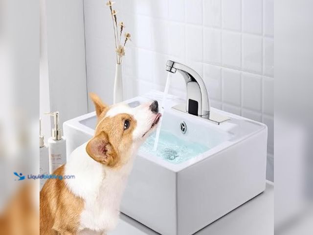 Lot 49-3465154 - Commercial Automatic Touchless Sensor Bathroom Faucet, Motion Activated Hands Free Kitchen Sink TapC...