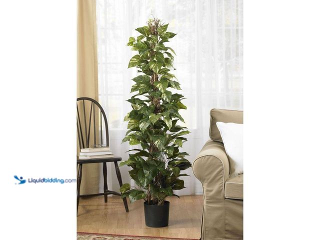 Lot 49-3565448 - Nearly Natural
63 in. Artificial Pothos Climbing Silk Plant. Model # 6613. Unused