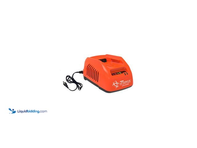 Lot 49-5544725 - ECHO 56V Battery System Rapid Fast Charger with On-Board LED Diagnostics . Model # LC-56V4AAB. Used