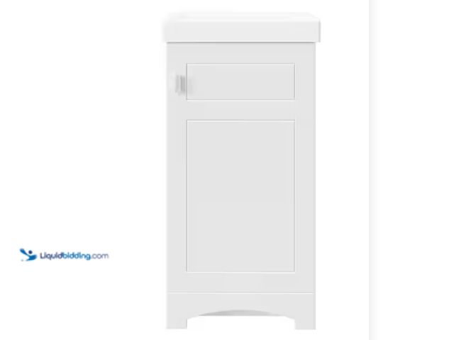Lot 49-1623576 - Glacier Bay Bayler 17-1/2 in. W x 13-1/2 in. D Bath Vanity in Linen White with Porcelain Vanity Top ...