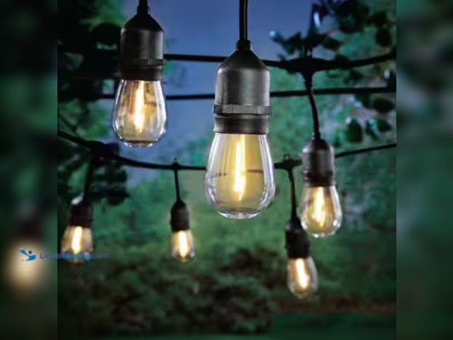 Lot 49-2000386 - Hampton Bay 24-Light 48 ft. Indoor/Outdoor Plug-In Filament LED S14 Edison Bulb String-Light, Model ...