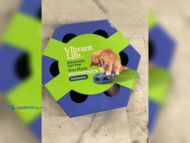 Lot 49-5542775 - Vibrant Life Hex Maze Electronic Cat Toy Unused