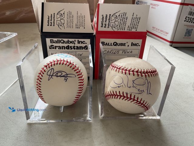 Lot 49-5350276 - LOT OF 2 DETROIT TIGERS LEGENDS AUTOGRAPHED BASEBALLS INCLUDING VANCE WILSON AND CARLOS PEÑA