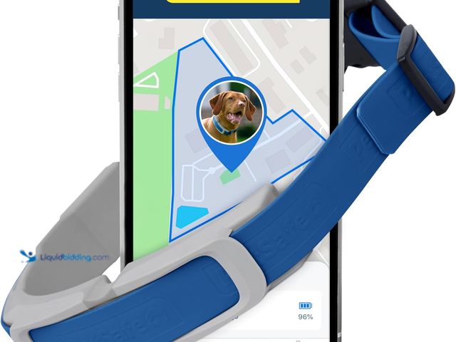 Lot 49-5542759 - PetSafe Guardian GPS + Tracking Dog Fence Collar Wireless Dog Fence with Real-Time Tracking Most Rel...